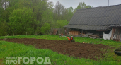 Сажаю только в эти числа и радуюсь результату: лунный календарь для огородников