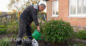 Добавляю в лунки всего два копеечных средства: пионы превращаются в пышные шары и цветут в разы дольше обычного