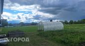 Летняя погода с характером: в Чувашии пройдут небольшие дожди и грозы