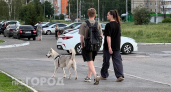 Как кошка с собакой: астролог назвал пары, которым не суждено быть вместе