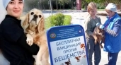 Ветврачи рассказали, как изменились болезни питомцев и что защищает хозяев