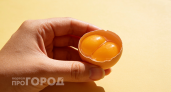 Эксперт объяснил: можно ли есть яйцо с двойным желтком