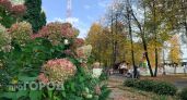 Аномальное тепло до +23 градусов удержится в Чувашии 24 сентября
