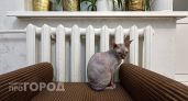 В Чебоксарах назвали дату начала отопительного сезона
