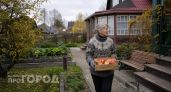 Пятнадцать лет тянула дачу ради детей: они приехали всего дважды и я приняла окончательное решение о продаже