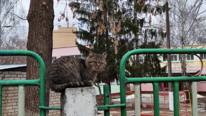 Рабочая неделя в Чувашии начнется с теплого весеннего дня