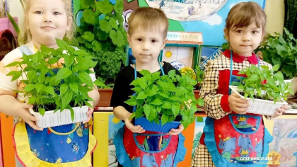 В Чувашии 32 детских сада объединились с колледжами ради ранней профориентации